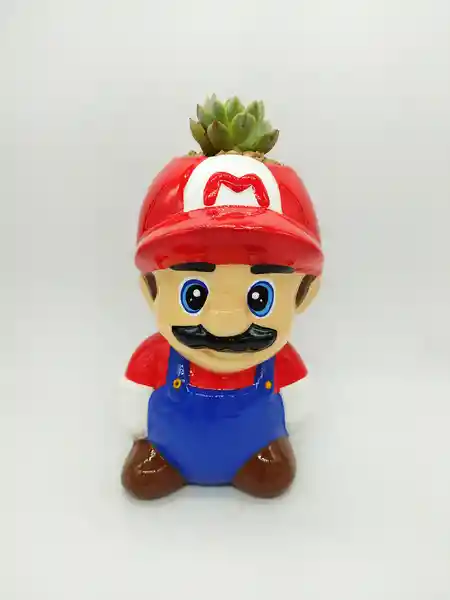 Suculenta Mario Bros