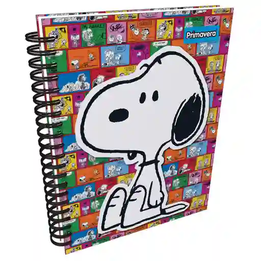 Primavera Cuaderno 7 Materias 105 Cuadros Mujer 12