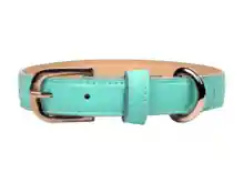 Selvaggio Pets Collar Aguamarina