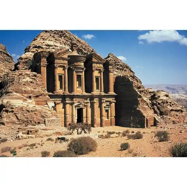 Rompecabezas 1000 Piezas / Fichas Petra