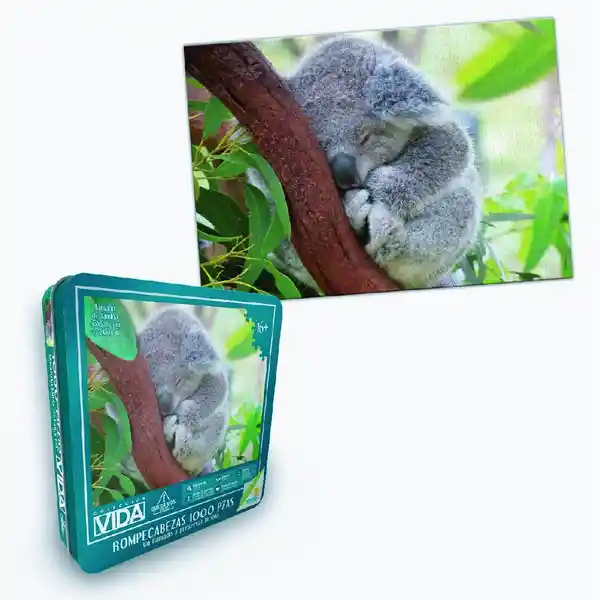 Ronda Rompecabezas Koala