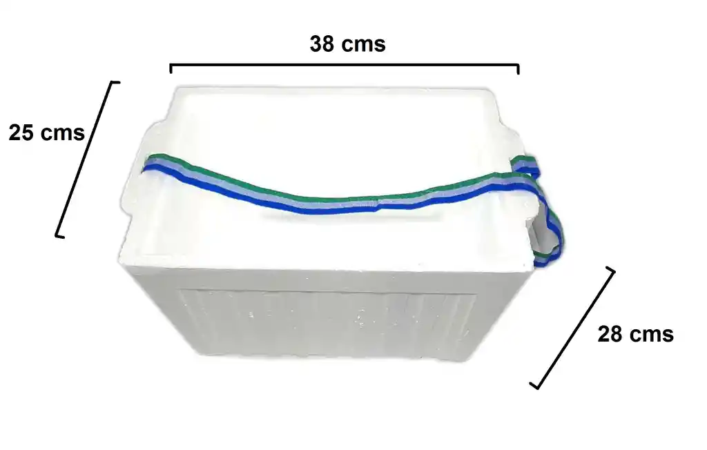 Nevera De Icopor De 15 Litros Con Correa Para Sujetar
