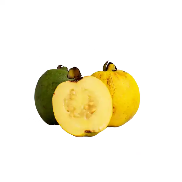 Guayaba Agria