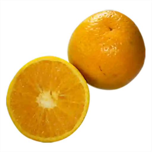 Naranja Valencia