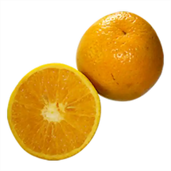 Naranja Valencia