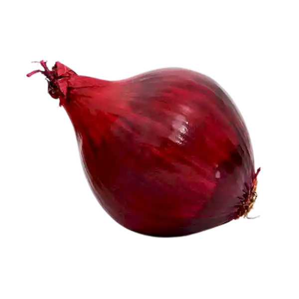 Cebolla Roja