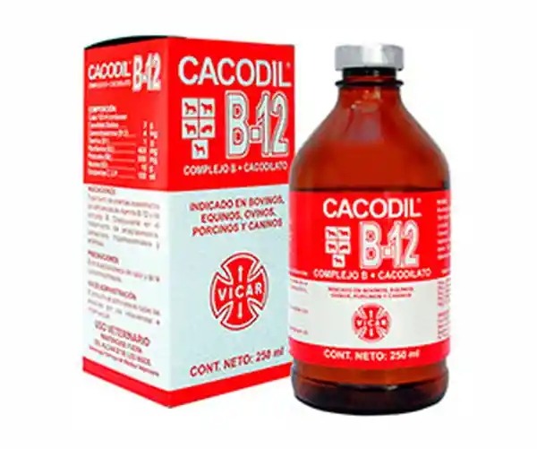 Cacodil 250 mL (3 g/1 g/400 mg/10 g/500 mg/4 mg/100 mL)