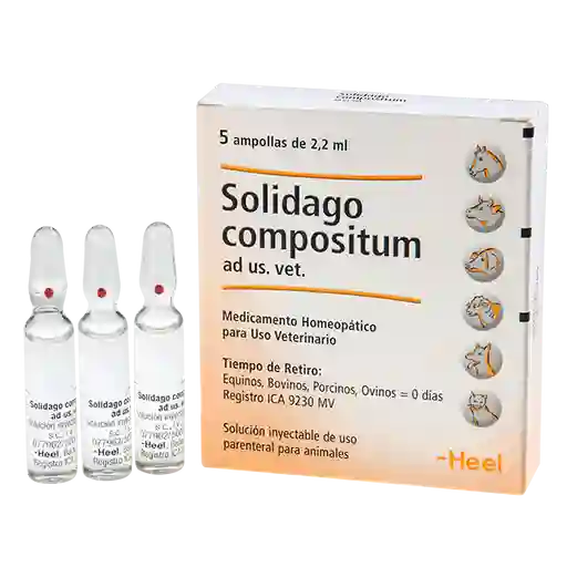 Solidago Compositum Medicamento Homeopático Inyectable 10.4 mL