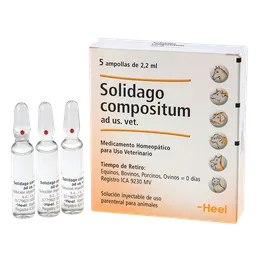 Solidago Compositum Medicamento Homeopático Inyectable 10.4 mL