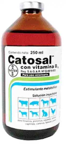 Catosal Suplemento Vitamínico Uso Veterinario Inyectable 250 mL