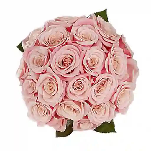 Arreglo Floral Con 24 Rosas Rosadas