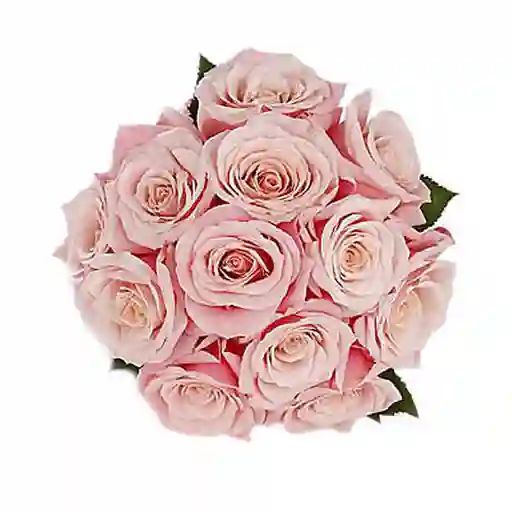 Arreglo Floral Con 12 Rosas Rosadas