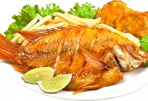 Mojarra