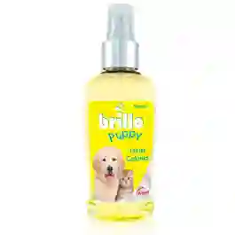 Brillo Colonia Puppy 120 mL