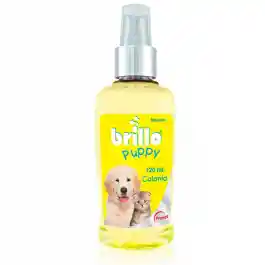 Brillo Colonia Puppy 120 mL