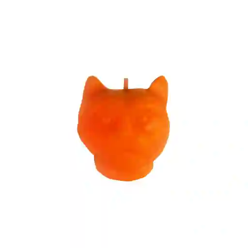 mini cat naranja
