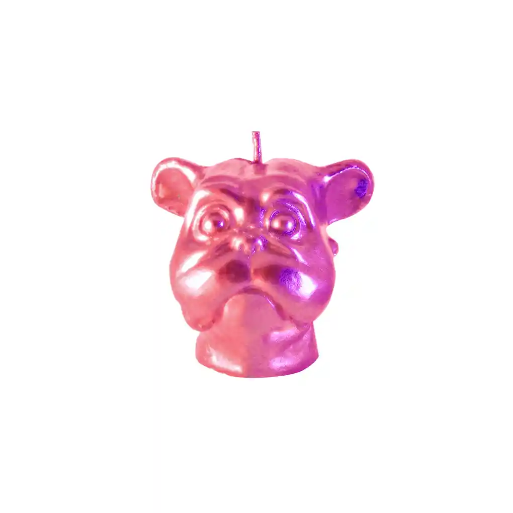 mini dog bronce