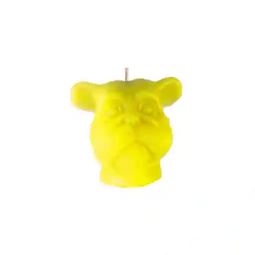 mini dog amarillo