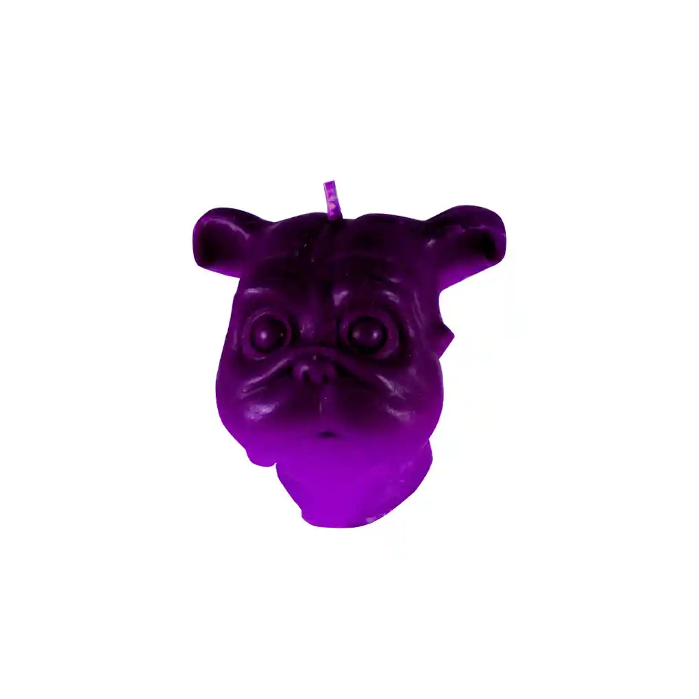 mini dog morado