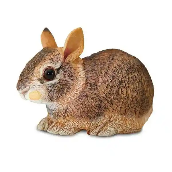 Safari Figura Coleccionable Eastern Cottontail Rabbit Baby