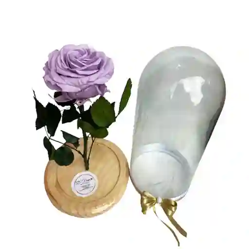 Rosa Eterna Lila