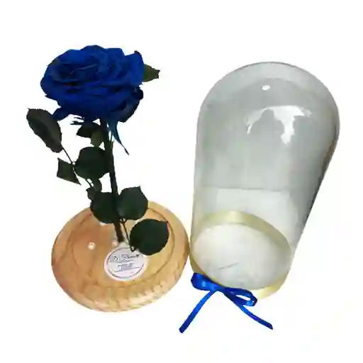 Rosa Eterna Azul Noche