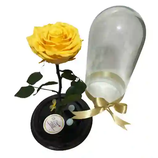 Rosa Eterna Amarilla