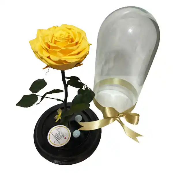 Rosa Eterna Amarilla