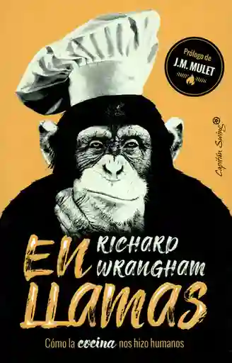 En Llamas. Cómo la Cocina Nos Hizo Humanos - Richard Wrangham