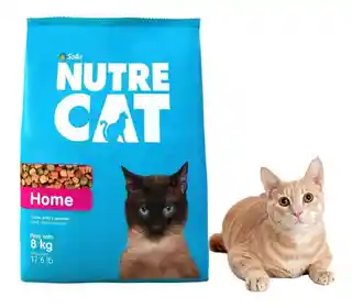 nutre cat  home a granel x kilo 