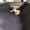 Forro Sillas Carro Perro Funda Protector Mascota Cobertor