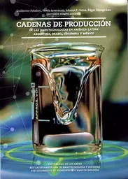 Cadenas de Producción de Las Nanotecnologías de América Latina