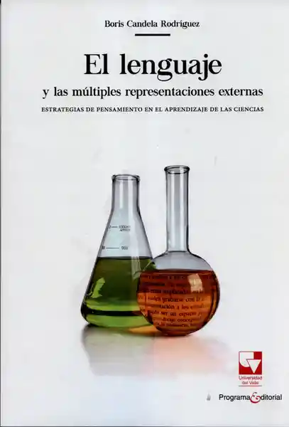 El Lenguaje y Las Múltiples Representaciones Externas - Candela