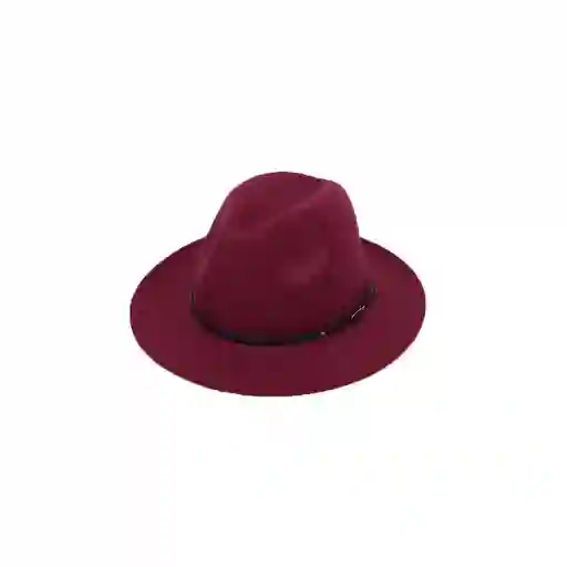 Sombrero Fedora Hombre Mujer Gardel Sol Elegante Fiesta Pro