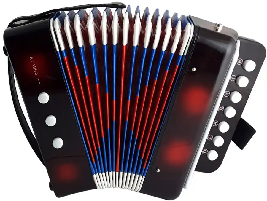 Acordeon Infantil Vallenato Niños Aprendiz Negro ¡Sonido Real!
