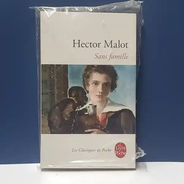 Sans Famille - Hector Malot