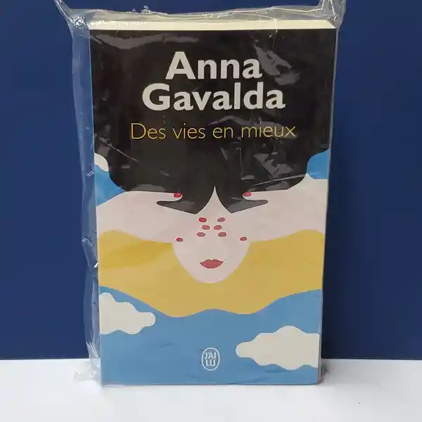 Des Vies en Mieux - Anna Gavalda