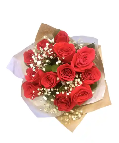 Rosas Rojas Para Regalo