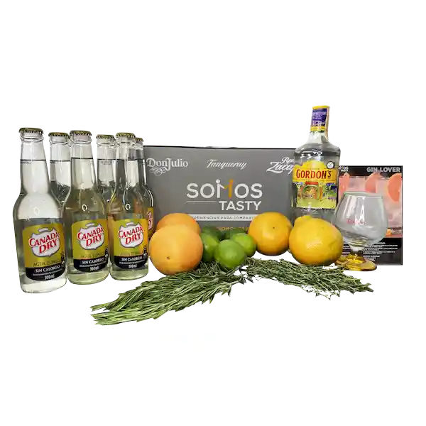 Kit de Cocteler�a Gin Lover Gordons + Canada Dry + Copa