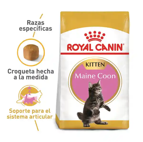 Royal Canin Alimento Para Gato Maine Coon Kitten 10 Kg