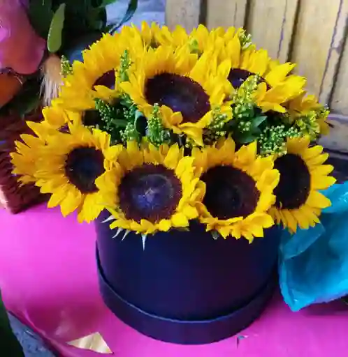 caja de girasoles