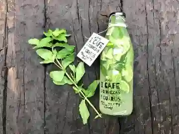 Mojito Clásico