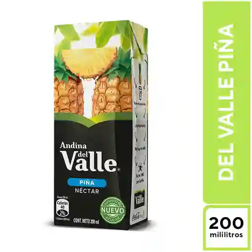 Del Valle Piña 200 ml