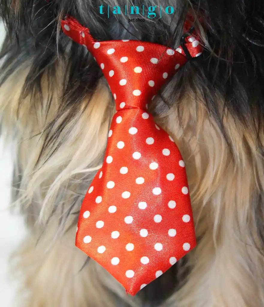Corbata Con Sistema Ajustable Para Gatos Y Perros