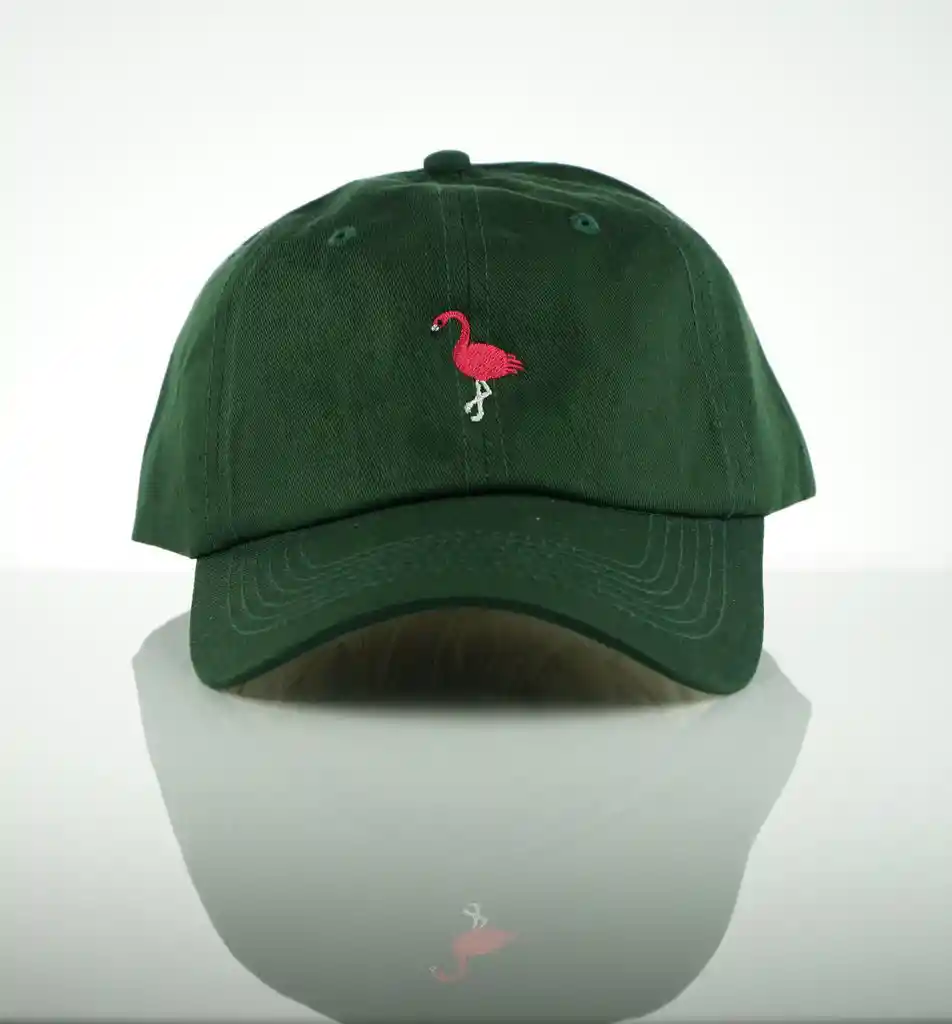 Gorra Pine Flamingo CAPZ