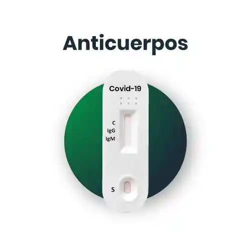 Anticuerpo