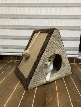 Gimnasio Casa Rascador Para Gato+ Juguetes!