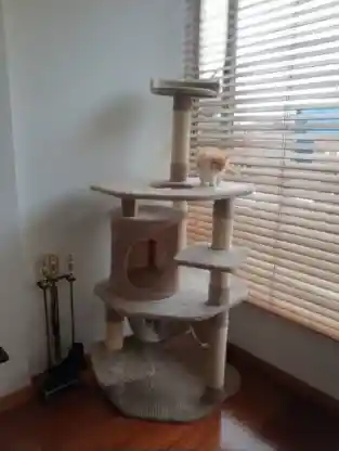 Gimnasio Rascador Para Gato