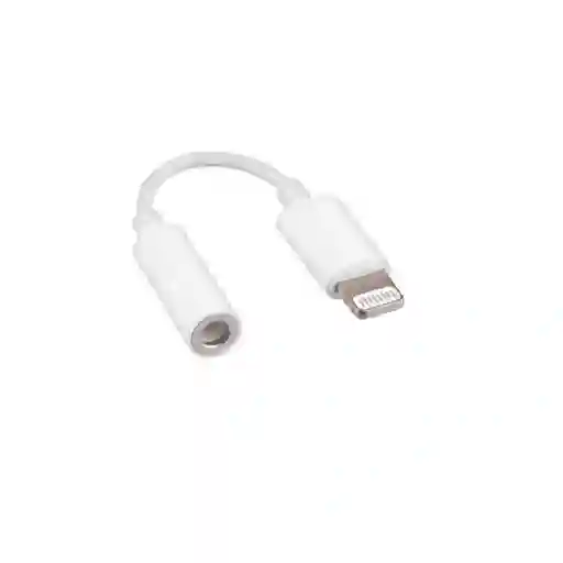 Lightning Adaptador Convertidor Entrada Salida Plug Ramitech