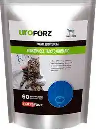 UROFORZ FELINO X 60 MASTICABLES SABOR A POLLO